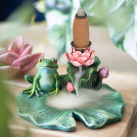 Backflowbrander - Lily Pad Frog