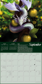 Mini Kalender 2026 - Dragon Legends Of The World (AS)