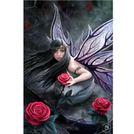 Canvas - Rose Fairy (AS)