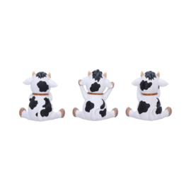 Beeld - Three Wise Cows 9cm (NN)