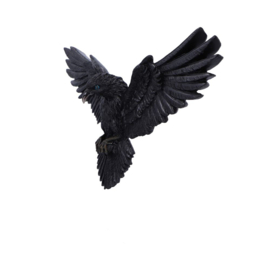 Wall Plaque - Flight of the Raven 35cm