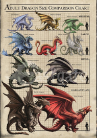Wenskaart + Envelop - Dragon Size Chart