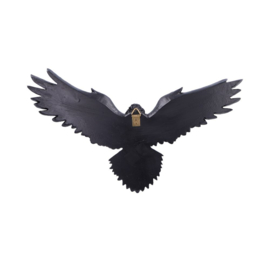Wall Plaque - Flight of the Raven 35cm