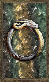 Orakel - World Dragon Oracle