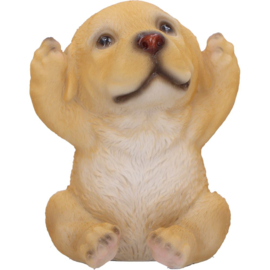 Figurine - Three Wise Golden Labradors 7.5cm (NN)