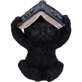 Beeld - Three Wise Spell Cats 8.5cm (NN)