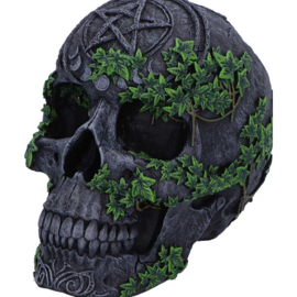 Beeld - Aged Pentagram Skull 18.8cm (NN)