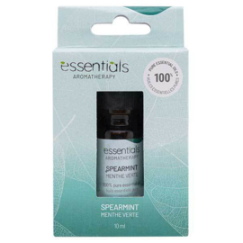 Aromatheraphy Oil - Spearmint