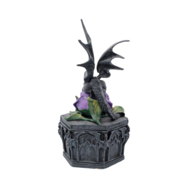Trinket Box - Dragon Beauty 25cm (AS)