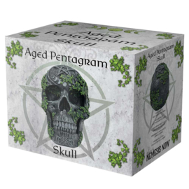 Beeld - Aged Pentagram Skull 18.8cm (NN)