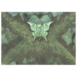 Wenskaart + Envelop - Acorn Pixie (AS) Birthday