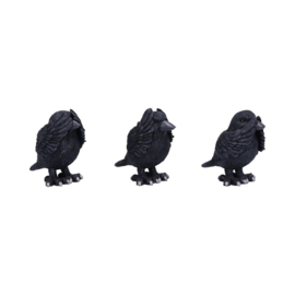 Beeld - Three Wise Ravens 8.7 (NN)