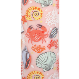 Tube Candle - Pastel Shell Coconut & Sea Salt