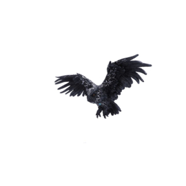 Wall Plaque - Dark Feather 55cm