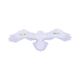 Wall Plaque - Harry Potter Hedwig 45cm (HP)