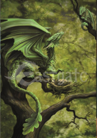 Wenskaart + Envelop - Forest Dragon