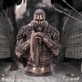 Bust - Assassin's Creed Valhalla Eivor Bust  Bronze 31cm