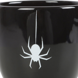 Teacup - Black Spider