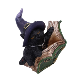 Figurine - Kitty's Grimoire (Green) 8.2cm