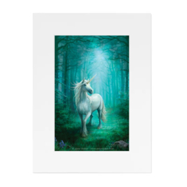 Passe-Partout - Forest Unicorn