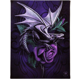 Canvas - Dragon Beauty (AS)