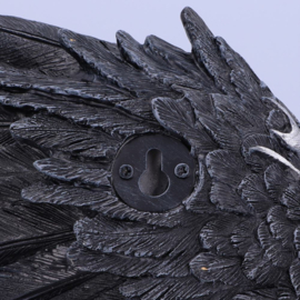Wall Plaque - Dark Feather 55cm