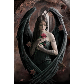 Wenskaart + Envelop - Angel Rose (AS)