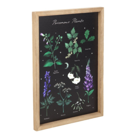 Frame - Poisonous Plants