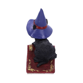 Figurine - Hocus 12.7cm