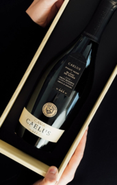 Caelus Brut Nature Gran Reserva 2016