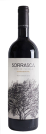 Sorrasca 2016