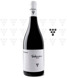 Familia Pacheco Selección 2019