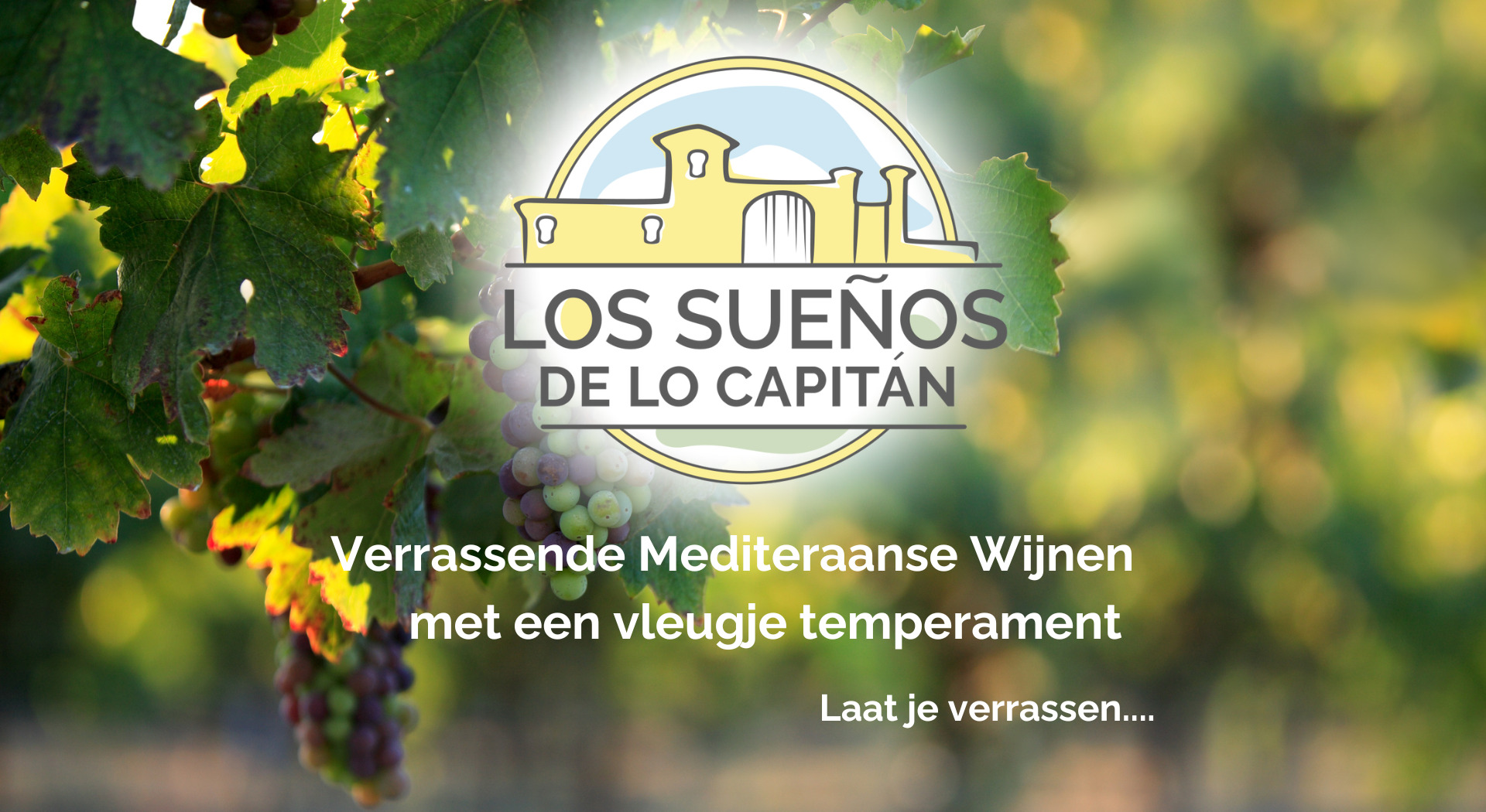 Met logo