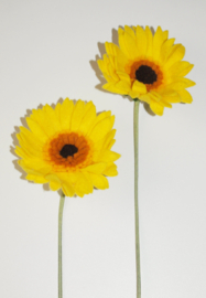 Gele Gerbera