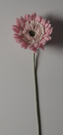 Roze Gerbera