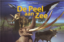 De Peel aan Zee