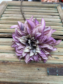 Dahlia paars               65cm