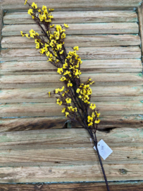 Gypsophila geel               78cm