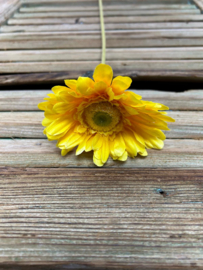 Gerbera geel               56cm