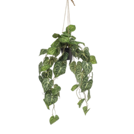 Zijden Anthurium Clarinerium aderplant 80 cm