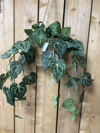 Zijden Anthurium Clarinerium aderplant 80 cm