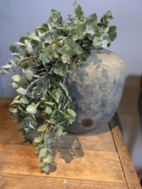 Eucalyptus tak 62 cm