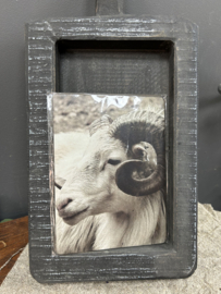 Ram