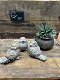 Set 3 vogeltjes jewel