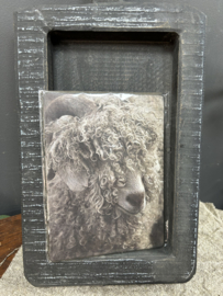 Schaap