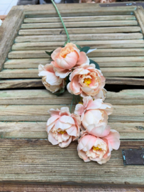 Mini Peony Branch Peach               80cm