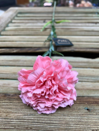 Carnation soft roze               70cm