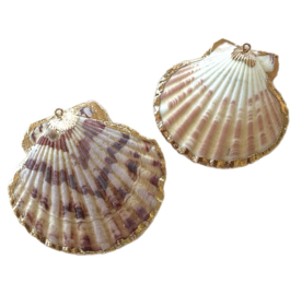 Schelp hanger scallop natural beige-brown Gold  2 stuks