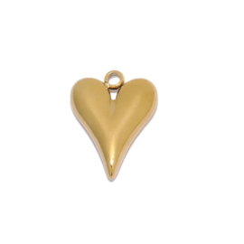 Hart bedel Goud stainless steel