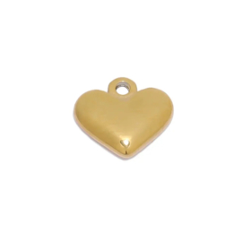 Hart bedel Goud stainless steel 11x13mm